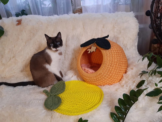 Cat nut house
